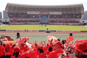 易游体育官网-主场球迷高唱助威歌，氛围震撼的简单介绍