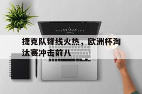 易游体育官网-捷克队锋线火热，欧洲杯淘汰赛冲击前八的简单介绍