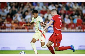 易游体育-波兰客场失利葡萄牙，小组竞争落后一步的简单介绍