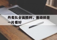 易游体育平台-丹麦队全面胜利，晋级前景一片看好的简单介绍