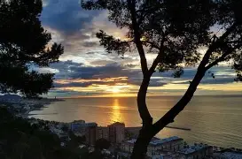 马拉加主场万人空巷，受疫情影响